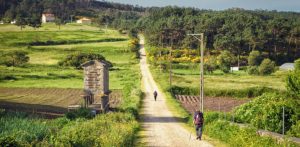 walking-camino-frances-route-784x385
